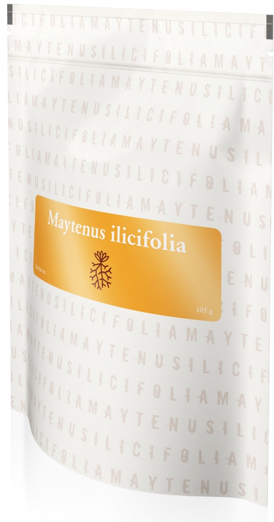Energy MAYTENUS ILICIFOLIA bylinný čaj 105 g