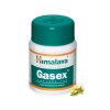 41303 41303 72322345 himalaya gasex100 tablet