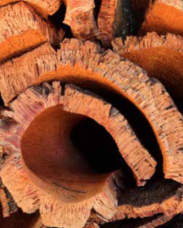 Prečo COREtec podlaha používa korkovú podložku?