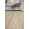 Warwick Oak 53 (50 LVPE 953) DETAIL