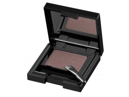 Pudr na obočí (Perfect Eyebrow Powder)