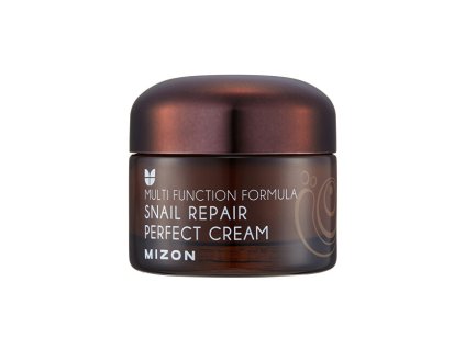 Pleťový krém s filtrátem hlemýždího sekretu 60% pro problematickou pleť (Snail Repair Perfect Cream) 50 ml