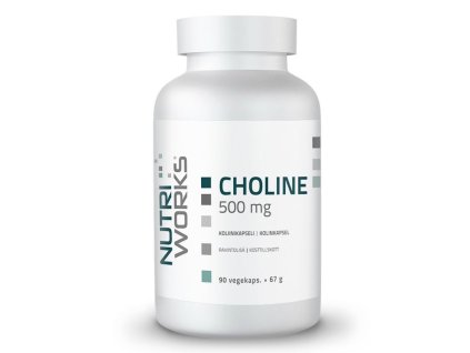 Choline 500 mg 90 kapslí