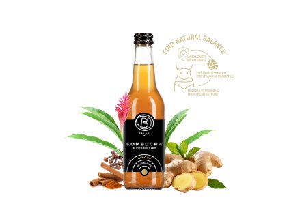 Kombucha s probiotiky ZÁZVOR - BALA 21 330ml