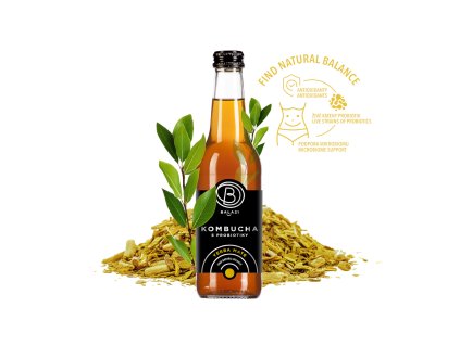 Kombucha s probiotiky YERBA MATÉ - BALA 21 330ml