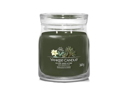 Aromatická svíčka Signature sklo střední Silver Sage & Pine 368 g
