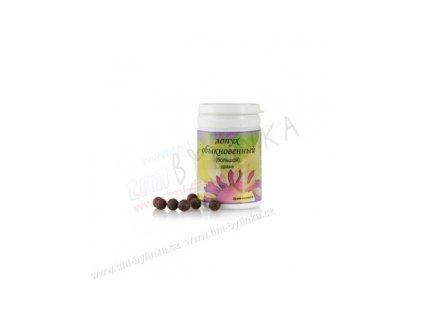 Lopuch větší dražé 50g TML T013