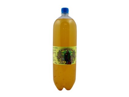 Kombucha 2l hloh Stev. 72