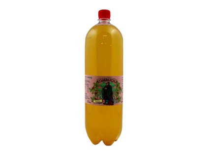 kombucha 2l sipek stev