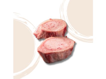 40041 06 hovezi morkove kosti