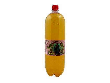 Kombucha 2l šípek Stev. 2815