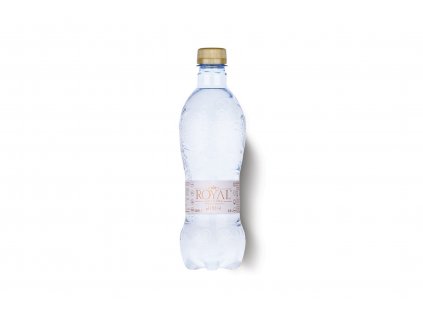 DAILY ION WATER - ionizovaná mikro-clusterovaná voda s pH 8,5 - Royal Water 0,5l