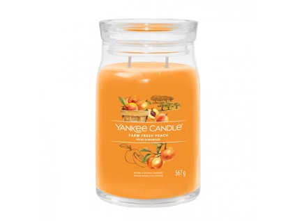 Aromatická svíčka Signature sklo velké Farm Fresh Peach 567 g