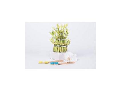 44dc51ac75d64a25c616fe1f6c081d3d