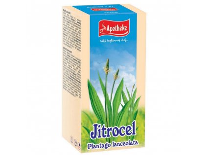 Apotheke Čaj Jitrocel 20x1,5g