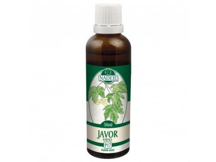 Naděje Javor z pupenů 50ml 40%