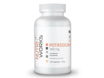 Potassium 300 mg 120 kapslí