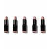 Sada pěti rtěnek Matte Nude (Lipstick Collection) 5 x 3,2 g