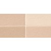 Vícebarevný kompaktní pudr Cellular Performance Foundations (Pressed Powder) 8 g