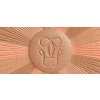 Bronzující rozjasňující pudr Terracotta Light (Powder) 10 g