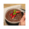 915 7 2025 03 em kase chococia v