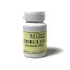 Herbal produkt Tribulus 100tbl