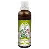 Naděje tinktura Andrographis mix 50ml 40%