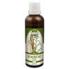 Naděje Kukuřičné čnělky 50ml 40%