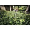 Akumulátorové nůžky HLA 140 STIHL