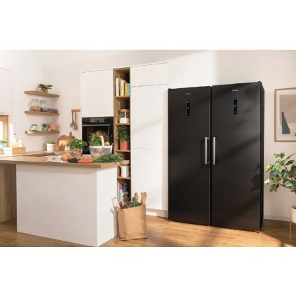Gorenje R619EABK6 Volně stojící chladnička Advanced + 5% sleva v košíku při zadání slevového kupónu "GORENJE"