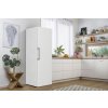 Gorenje R619EEW5 Lednice Essential