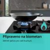 19291094 19043528 FHI cs CZ S SF Biomethane ready 4