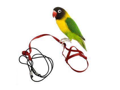 Fluggeschirr für Papageien und Vögel XXS (ohne Karabinerhaken) rot
