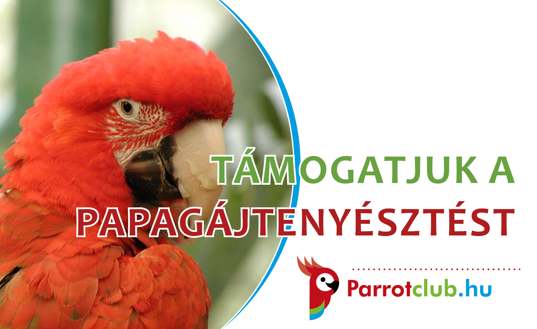 Támogatjuk a papagájtenyésztést