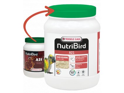 Nevelőtáp papagájoknak és madaraknak Nutribird A21 800g