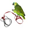 Hám és póráz papagájoknak és madaraknak (karabiner nélkül) S piros