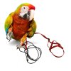 Hám és póráz papagájoknak és madaraknak XL (karabiner nélkül) piros