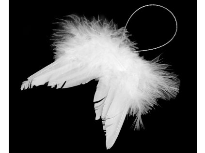 Snímek obrazovky 2025 11 26 101441