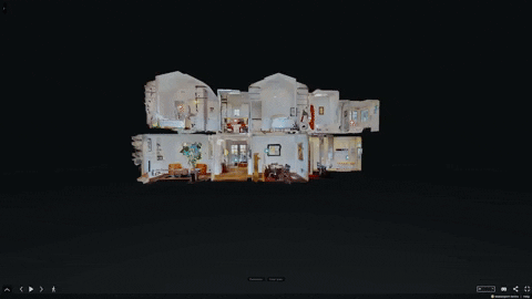 giphy