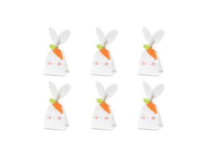 sacky zajicek TNS8 01