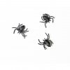 Dekorační pavouci 3x3cm 10ks PHK10 02