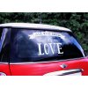 samolepka auto all you need is love 33x45cm CS1 008 02