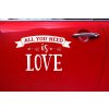samolepka auto all you need is love 33x45cm CS1 008 03