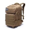 Taktischer Rucksack 40L mit Molle-System (BPT9-40) Molle Coyote