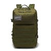 Taktischer Rucksack 40L mit Molle-System (BPT9-40) Molle Olive
