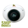 5Mp fix focus IP kamera IPD-5SP VP Cloud v1.1