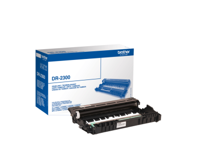 DR 2300