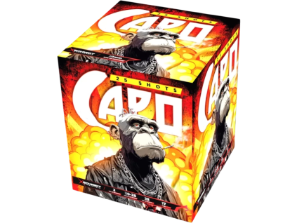Capo1