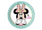 Minnie Mouse Mint 