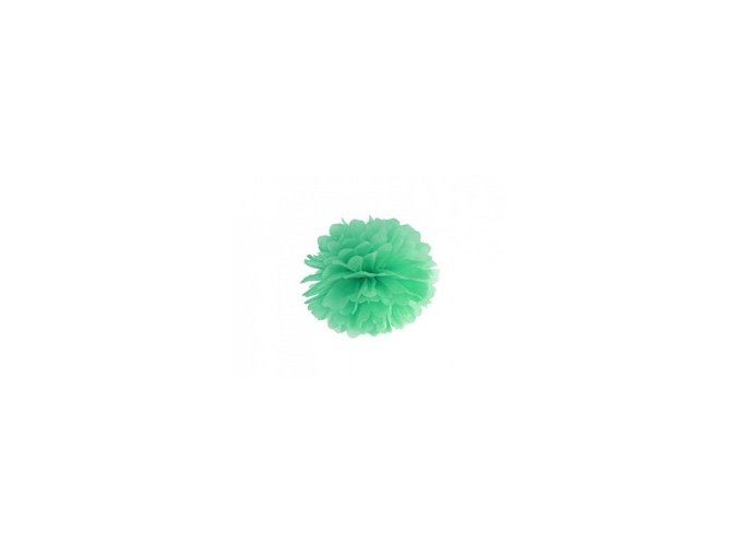 Pompom zelený 25cm